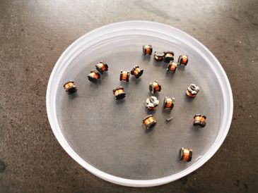 IMG_20210520_165732_調(diào)整大小